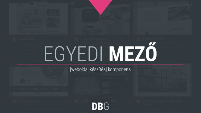 Egyedi mező
